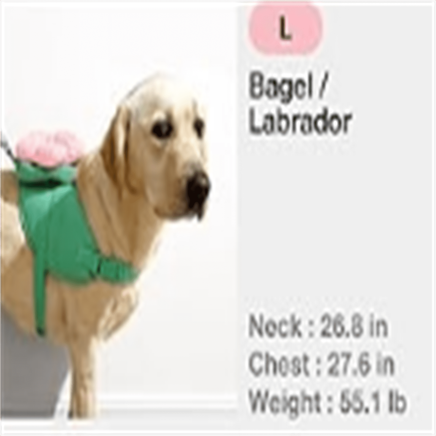 Dog Harness, Leash and Collar Set, No Pull Dog Vest Harness for Walking and Training, Adjustable, Easy Control and Soft Padded Pet Harness and Backpack for Small Medium Large Dogs, L