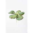 thumbnail image 3 of 6" Faux Green\Gray Kalanchoe Succulent Pick, 3 of 4