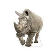 Advanced Graphics White Rhinoceros Life Size Cardboard Cutout Standup