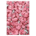 thumbnail image 3 of Marmont Hill Pink Floral Madness Painting Print on Wrapped Canvas, 3 of 4