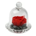 thumbnail image 1 of EGNMCR Preserved Roses Flower In Glass Romantic Gift Eternal Rose, 1 of 1