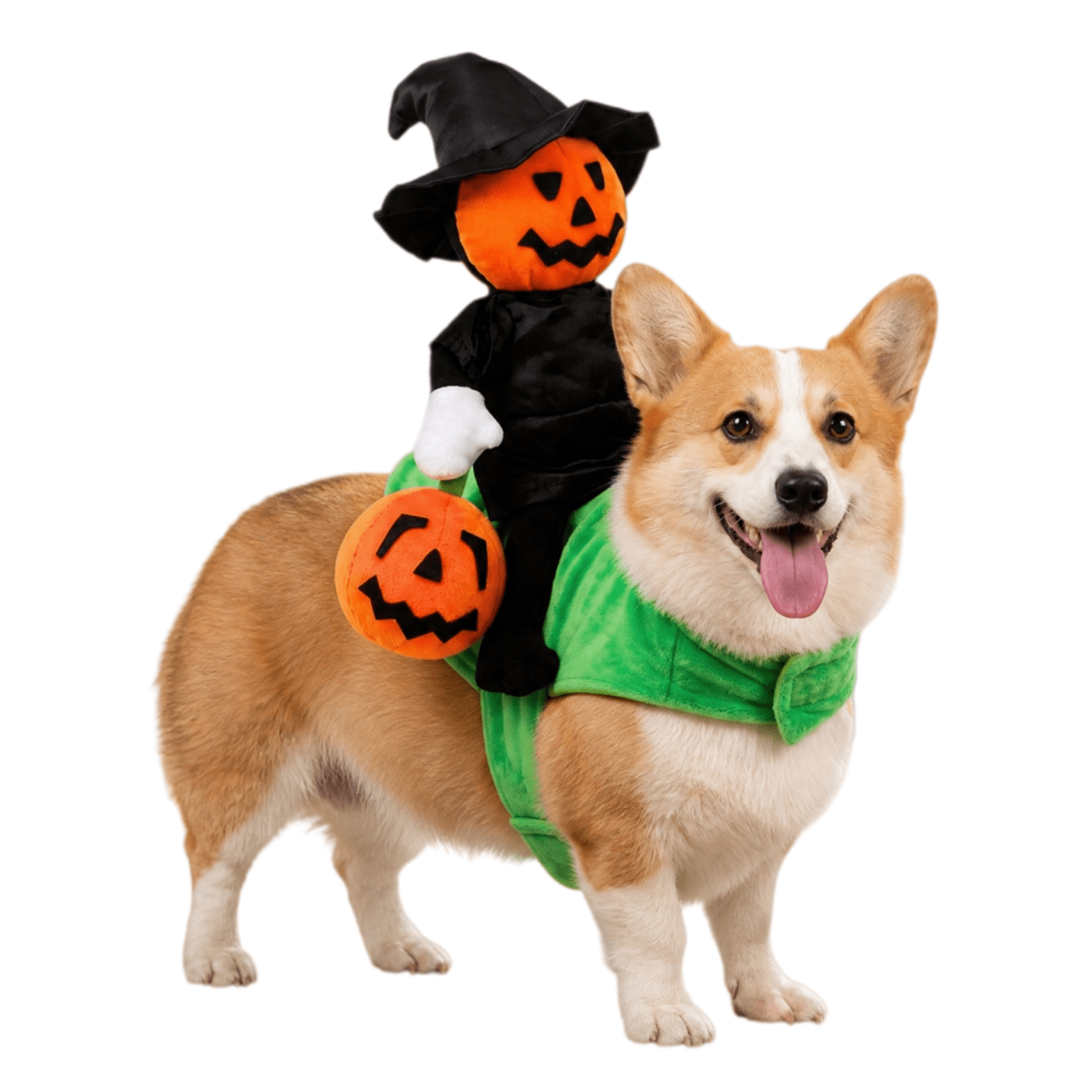 Costume for Cats Dogs Cute Pumpkin Knight Pet Cosplay Outfits | Pet Riding Costume for Fall Halloween Party Festive Celebration Photo Home Park M