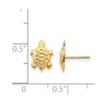 thumbnail image 2 of 14k Yellow Gold Polished Turtle Post Earrings 12x8mm Wide Stud Earring for Women - .2 Grams, 2 of 2