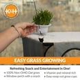 thumbnail image 4 of K&H Pet Products EZ Mount Penthouse Cat Window Perch with Cat Grass Grow Station Gray/Black 23 X 19 X 9.5 Inches, 4 of 12