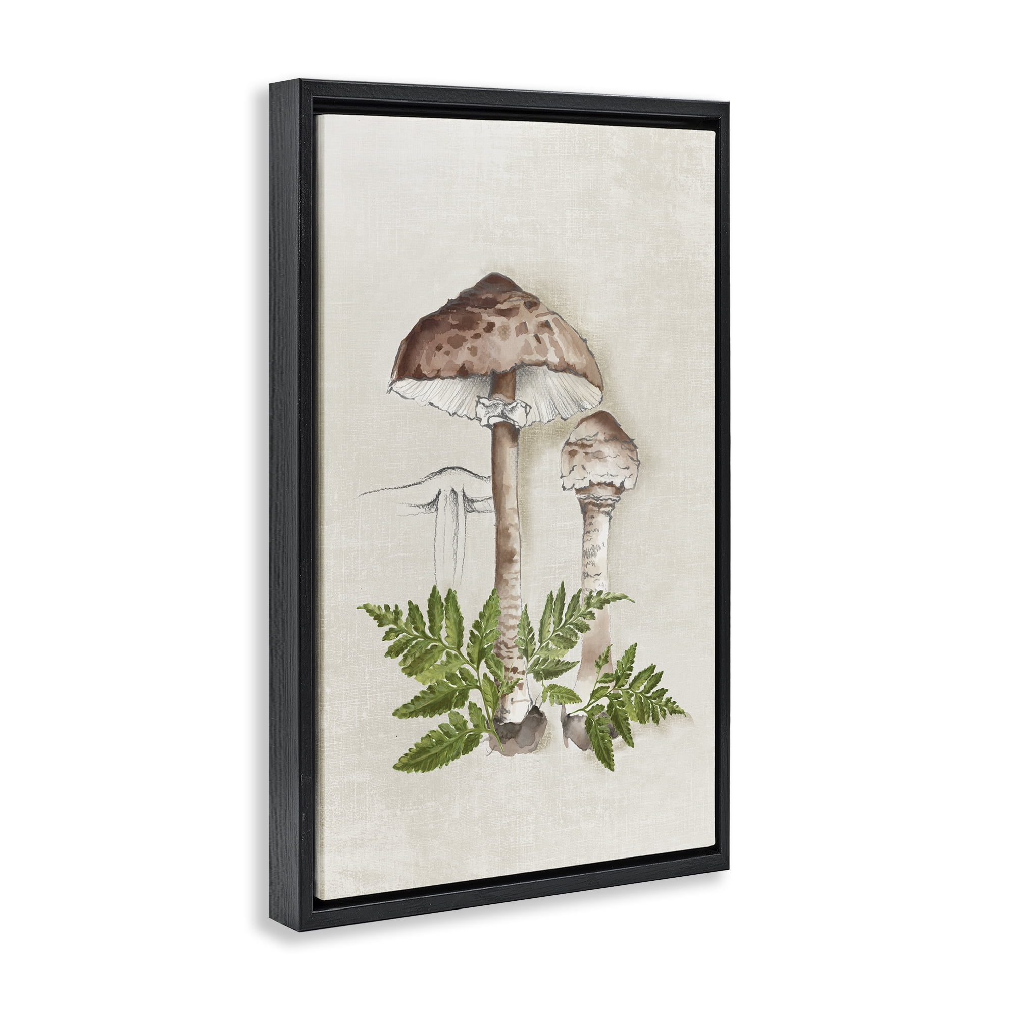 Stupell Industries Mushroom & Ferns Sketch Plants & Flowers Painting Black Floater Framed Canvas Art Print Wall Art, 17 x 25