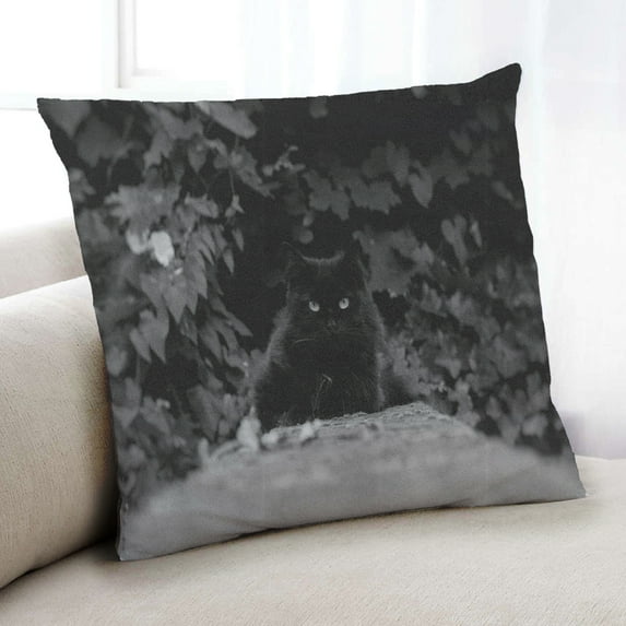 Ahgly Company Cat Cats Indoor Throw Pillow, 18 inch by 18 inch
