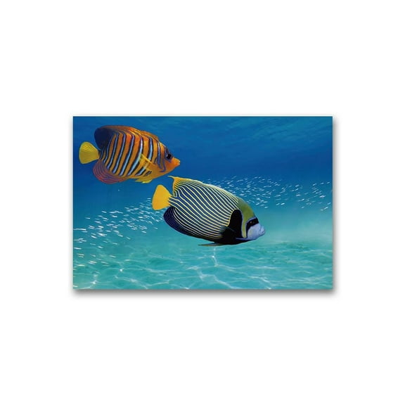 Tropical Fish In Clear Water Poster -Image by Shutterstock