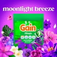 thumbnail image 6 of Gain Flings Laundry Detergent Soap Pacs, 4-in-1 Oxi Boost and Febreze, Moonlight Breeze Scent, 31 Count, 6 of 16