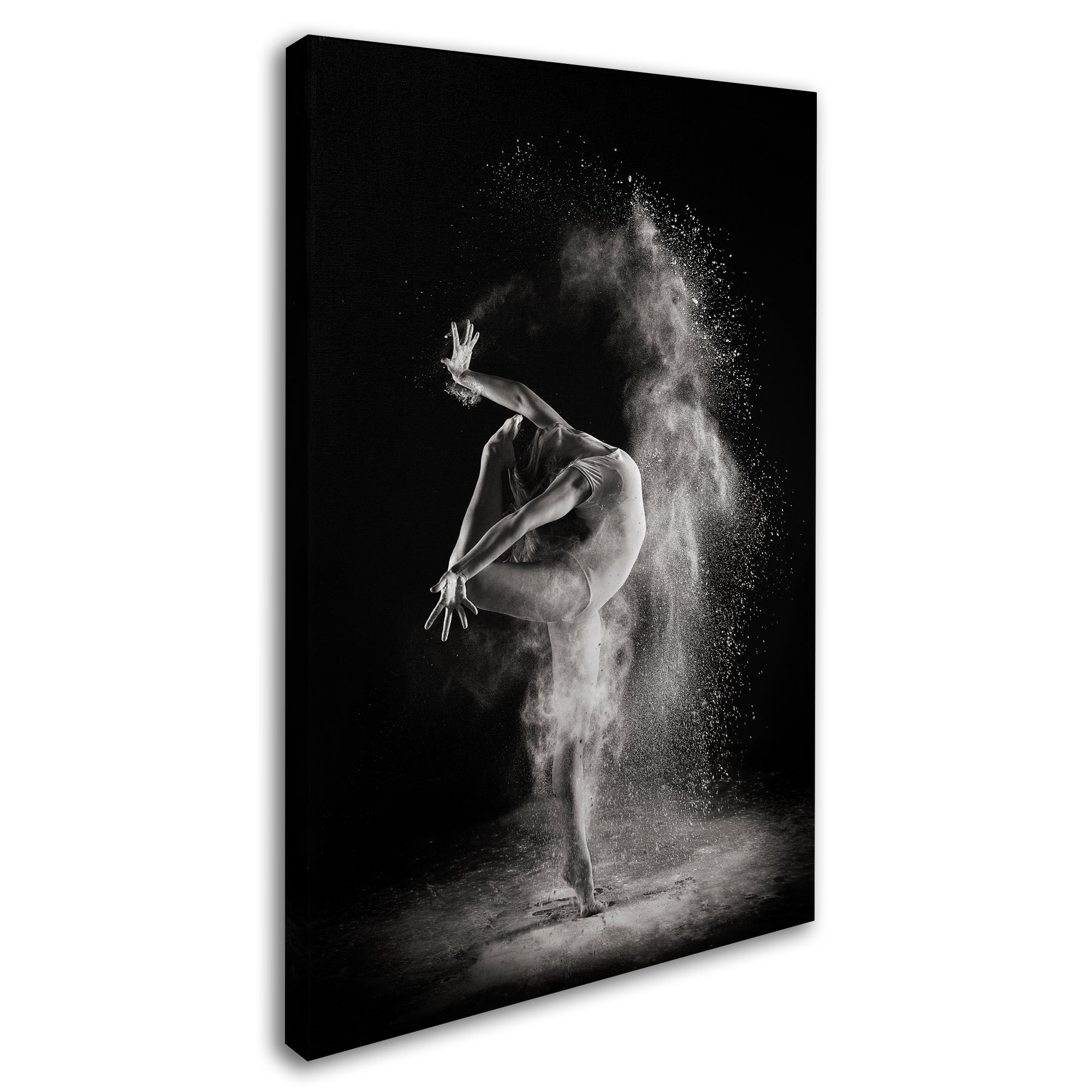 Shades And Light 'In The Light' Canvas Art