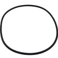 thumbnail image 1 of Hayward SPX4000T Seal Plate O-Ring Replacement For Northstar Pump, 1 of 3