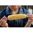 thumbnail image 2 of Outset Shark Corn Holders, Set of 4 Pairs of Corn on the Cob Handles, 1.38" x 5" x 7", 2 of 5