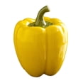 thumbnail image 4 of Tarro de Hojas de Té Sunnimix Cerámica Forma de Chile Amarillo, 4 of 8