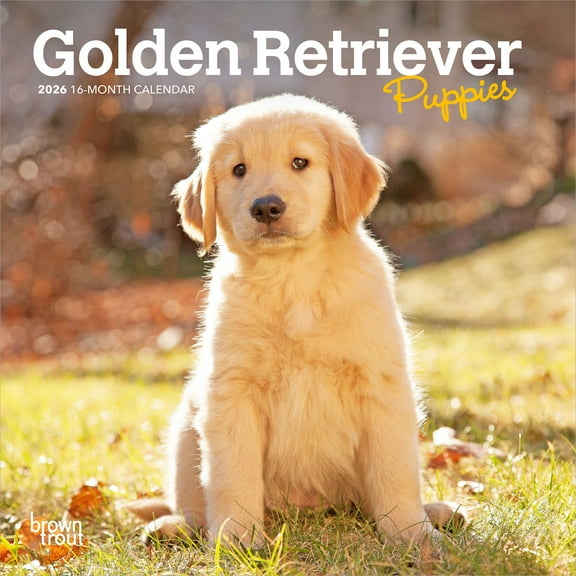 Golden Retriever Puppies | 2026 7x14" (Hanging) Mini Wall Calendar | BrownTrout