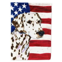 Carolines Treasures SS4225-FLAG-PARENT USA American Flag with Dalmatian Flag  multicolor