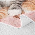 thumbnail image 5 of Manfei Cute Kitten Twin Quilt Set, Pet Animal Twin Coverlet Set, Pink, 2pcs, 1 Bedspread and 1 Pillowcase, 5 of 7