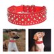 thumbnail image 4 of Collar de perro, collar de doble lona de grande fuerte, collar de perro de , resistente a , collar de perro para viajar - L rojo, 4 of 9