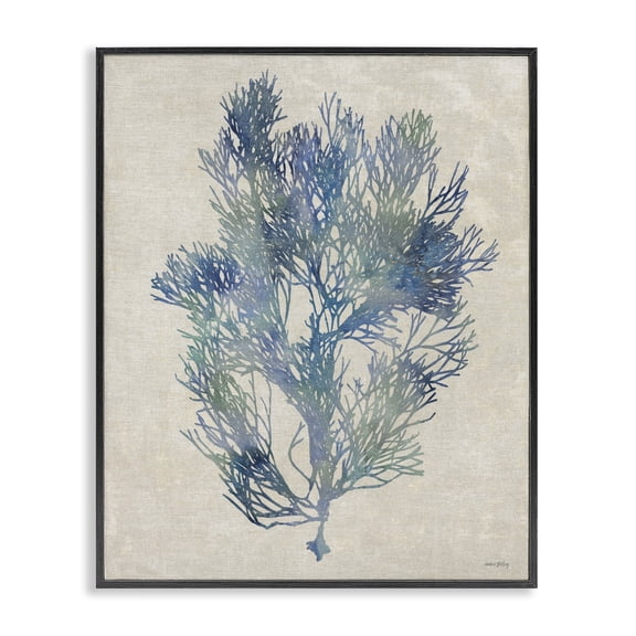Stupell Industries Transitional Misty Blue Coral Study Black Framed Giclee Art, 11 x 14, by Amber Sterling