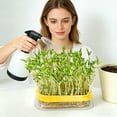 thumbnail image 3 of Transparent Hydroponic Growing Kit, Soilless Seedling Tray with Floating Insert for Easy Harvest, Water-Planting Box for Classroom Kitchen Counter Herb Flower Year-Round, Yellow, 3 of 6