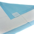 thumbnail image 2 of Magic Pads, Indoor Pet Training Pads, Maximum Absorbency, 23.6" x 23.6", 50 Count, 2 of 6