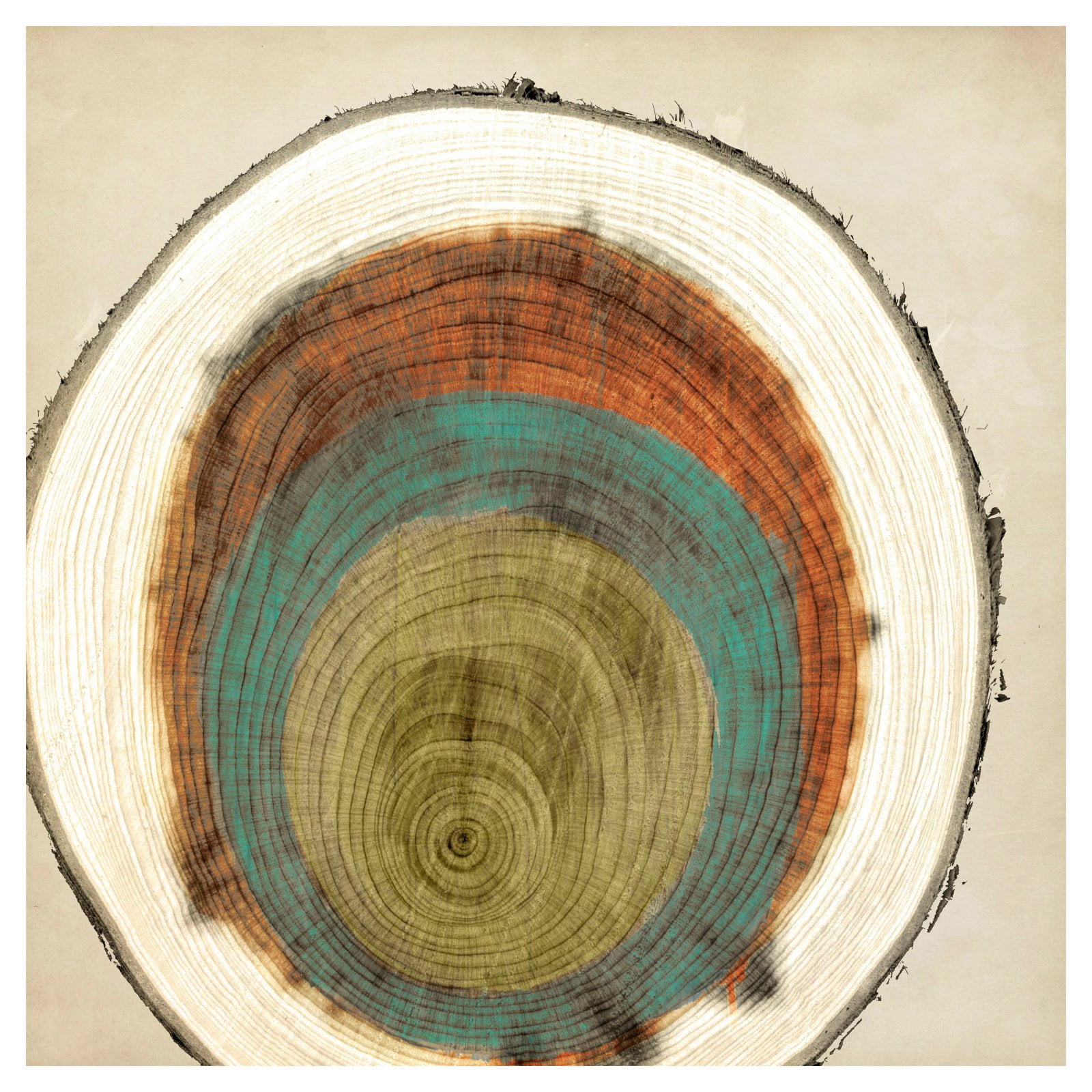 Marmont Hill "Expanding Rings" Painting Print on Wrapped Canvas