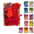 thumbnail image 3 of 1 Bag Dried Flowers Pressed Dry Flower For DIY Phone Case Epoxy Resin Filling Pendant Jewelry Making Crafts Nail Art Decor, 3 of 8