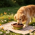 thumbnail image 2 of Qholemyo Silicone Foldable Pet Bowl Feeding Bowl Portable Pet Food Bowl With Hanging Rope For Small Pets Outdoor Use, 2 of 5