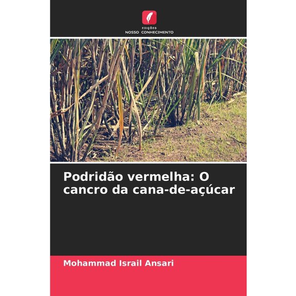 Podridão vermelha: O cancro da cana-de-açúcar, (Paperback)