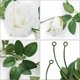 thumbnail image 3 of 3 packs of artificial white rose vines flower wreaths total 19.5 ft fake hanging silk, 3 of 5
