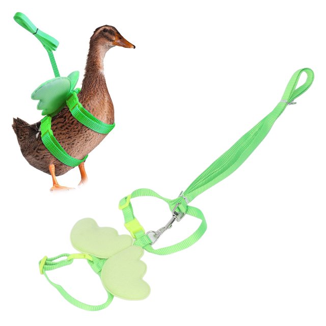 Duck Harness Leash, Adjust Size Wing Shaped Small Pets Traction Rope Outside Walking Harness Leash For Duck Chicken Goose Outdoor Training