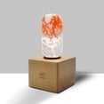 thumbnail image 4 of EP Light E26 E27 Edison Light Bulb Decorative Colored LED Bulb,Night Light for Bedrooms,Handmade Art fixture Unique Gifts-Tango, 4 of 6