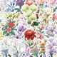 thumbnail image 1 of Paquete de pegatinas artísticas con flores, acuarela y estampado floral, 50 unidades, 1 of 2