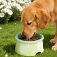 thumbnail image 5 of Bcylexb Raised Donut Cat Food Bowl, Elevated Silicone Pet Feeder for Dogs and Cats, Antiskid Water Dog Bowls for Puppy Neck Support, Mint Green, 5 of 6