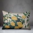 thumbnail image 3 of Creative Products Painterly Lemons 14x20 Spun Poly Pillow, 3 of 3