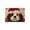 A, variant on Christmas Doormat Festive Holiday Mat with Animal Designs for Entrance Welcome Mat Syoung manproof Absorbent Fast-Dry Bath Rug（A)