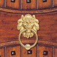 thumbnail image 6 of yotijay Lion Head Door Knocker Brass Decorative Front Door Knocker for Closet Office D, 6 of 9