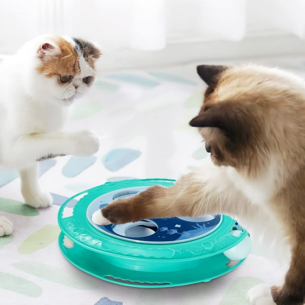 Kitten puzzle feeder cheap