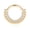 Gold&Clear CZ, variant on 316L Surgical Steel Septum Rings 16G 8/10/12mm Septum Jewelry with CZ Daith Piercing Jewelry Hinged Segment Cartilage Conch Hoop Septum Clicker