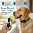 thumbnail image 6 of IPX7 Waterproof Dog Training Shock Collar with Remote Control, 3 Beep Vibration Shock Training Modes for Small Medium Large Dogs, 6 of 10