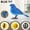 G, variant on Simulated Bird Sound and Light Control Children's Electric Sensor Toy, Suitable for Children 3+ - Safe, Non-toxic,And Eco-Friendly Materials