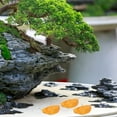 thumbnail image 6 of LOLIPPYY 10pcs Mini Garden Decor Golden Resin Decorative Mini House Shape For DIY Enthusiasts, 6 of 8