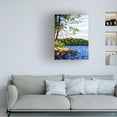 thumbnail image 2 of Mandy Budan 'View From Mazengah' Canvas Art, 2 of 4