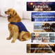 thumbnail image 4 of Abrigo cómodo para aliviar la ansiedad del perro, chaleco calmante para la ansiedad del perro para tormentas eléctricas, viajes, fuegos artificiales, visitas al veterinario MFZFUKR CPB-DE-LYY1864-7, 4 of 5