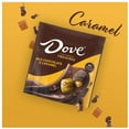 thumbnail image 3 of Dove Promises Candy Caramel And Milk Chocolate 6.74 oz Pack of 2, 3 of 5
