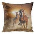 thumbnail image 1 of EREHome Animal Two Wild Chestnut Horses Running Together in Dust Front View Sand Pillow Case 16x16 Inches Pillowcase, 1 of 1