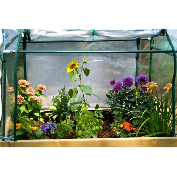 EDEN RGT-T23 EDEN Medium Raised Garden Optional Enclosure--Enclosure Only-- 2FT X 3 FT