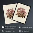 thumbnail image 2 of Vintage Botanical Dwarf Copperleaf Fawcett Huge Wall Art Print 18X24 In, 2 of 4