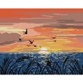 thumbnail image 1 of Cuadros Decorativos Kit de costura de bordado completo conjunto de punto de cruz 14CT estampado DIY arte puesta de sol Sywqhk Nuevos Originales, 1 of 9