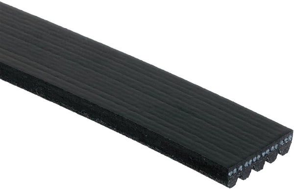 ACDelco V-Ribbed Serpen (B)