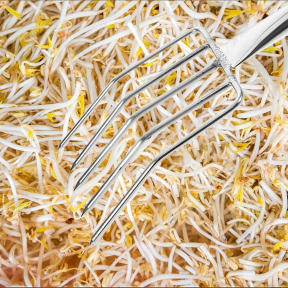 OATIPHO Gardening Tools Stainless Steel Bean Sprout Fork Ergonomic Design for Soil Scooping and Cleaning Debris 1Set