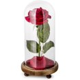 thumbnail image 1 of Kit de rosa de La Bella y la Bestia, rosa y luz LED en cúpula de cristal sobre base de madera para decoración del hogar, cumpleaños, boda, día de San Valentín (rojo) Fokelyi LL-1802, 1 of 6
